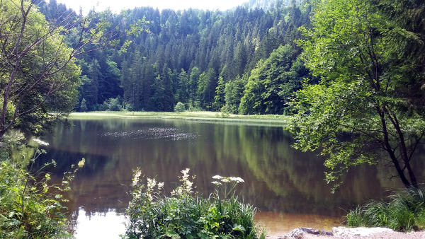 Suttensee - © RoRadln - Kurt Schmidt