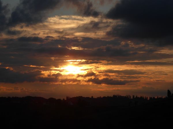 Jeruzalem - Abendstimmung auf Weingut Puklavec - © RoRadln - Kurt Schmidt
