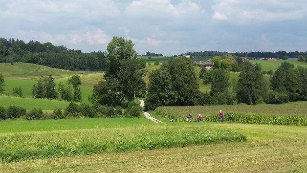 Riederinger Rundn zwischen Mangolding und Ofenwinkl - © RoRadln - Kurt Schmidt