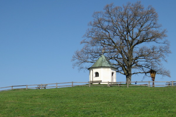 Samerberg -Aussichtspunkt Luitpoldeiche - © RoRadln - Kurt Schmidt