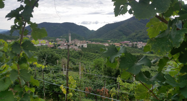 Blick auf Guia - © RoRadln - Steffen Storandt