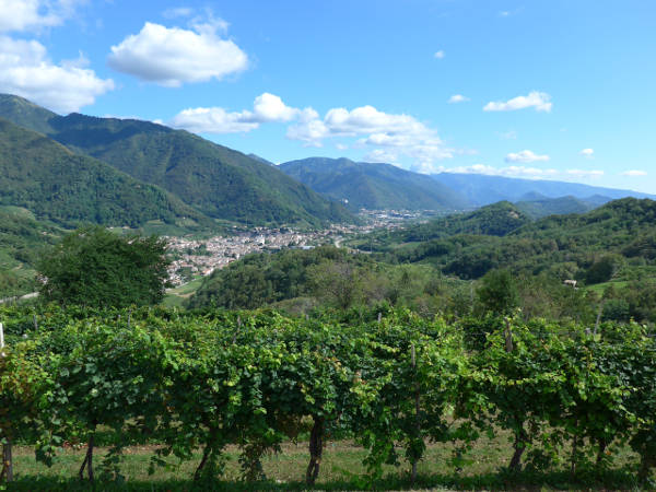 Blick auf Miane und Follina - © RoRadln - Manfred Sch&uuml;tz