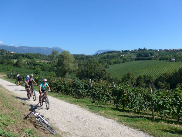 Gemarkung Refrontolo - © RoRadln - Manfred Sch&uuml;tz