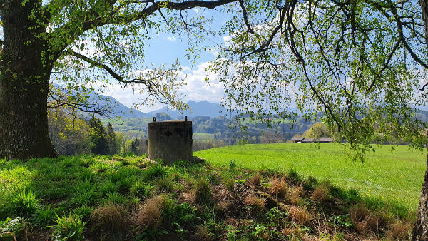 Bergblick bei Oberacherting - © RoRadln - Kurt Schmidt