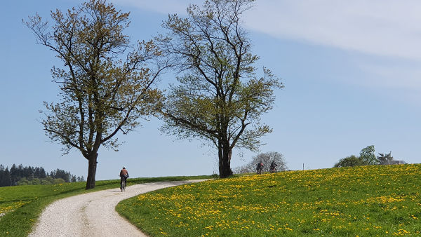 Auf der Via Julia nahe Stetten - © RoRadln - Kurt Schmidt