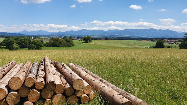 Bergblick bei Rapolden (Prutting) - © RoRadln - Kurt Schmidt