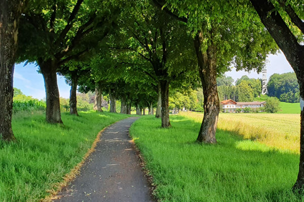 Heldenallee in Ebersberg - © RoRadln - Kurt Schmidt