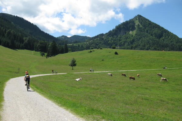 Fahrt von der Hofalm - © RoRadln - Kurt Schmidt