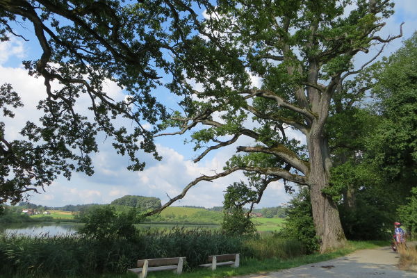 Egglburger See bei Ebersberg - © RoRadln - Kurt Schmidt