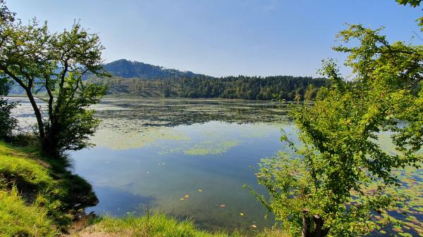 G&ouml;sselsdorfer See - © RoRadln - Kurt Schmidt