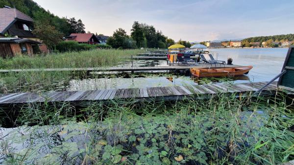 Private Stege am Klopeiner See - © RoRadln - Kurt Schmidt
