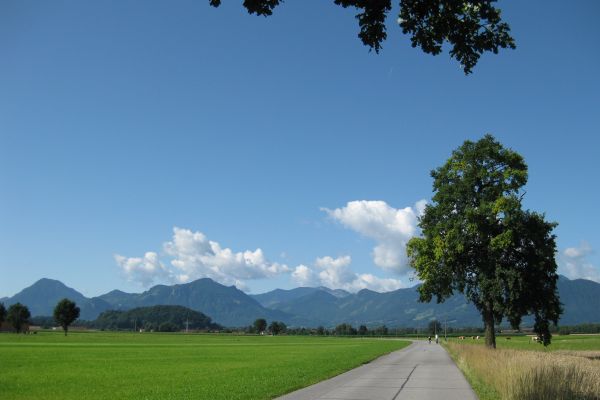 Zwischen Thansau und Neubeuern - © RoRadln - Kurt Schmidt