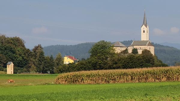 Stein im Jauntal - Kirche St. Lorenz - © RoRadln - Kurt Schmidt