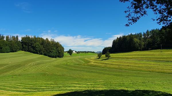 Allg&auml;u: typische Landschaft - © RoRadln - Kurt Schmidt