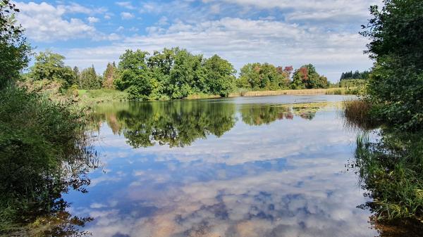 Stockenweiler Weiher - © RoRadln - Kurt Schmidt