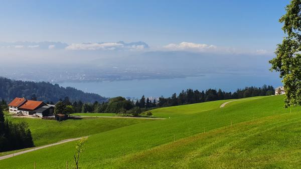 Bodenseeblick bei M&ouml;ggers / Stadlers - © RoRadln - Kurt Schmidt
