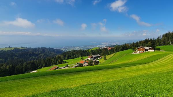 Bodenseeblick Gemeinde Eichenberg - © RoRadln - Kurt Schmidt