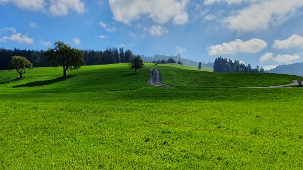 Aussichtspunkt Bodenseeblick Gemeinde Eichenberg - © RoRadln - Kurt Schmidt