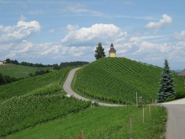 S&uuml;dsteirisches Weinland oder die Steirische Toskana - © RoRadln - Kurt Schmidt