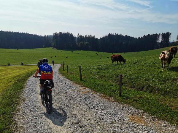 Feldweg bei Eutenhausen - © RoRadln - Reinhard Rolle