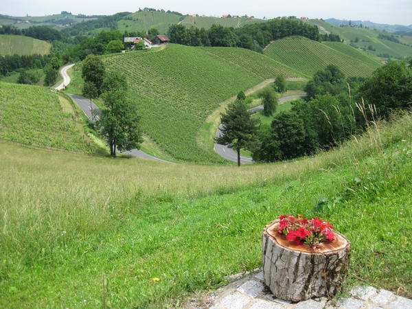 S&uuml;dsteirisches Weinland oder die Steirische Toskana - © RoRadln - Kurt Schmidt