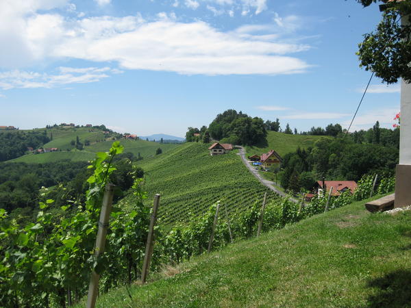 S&uuml;dsteirisches Weinland oder die Steirische Toskana - © RoRadln - Kurt Schmidt