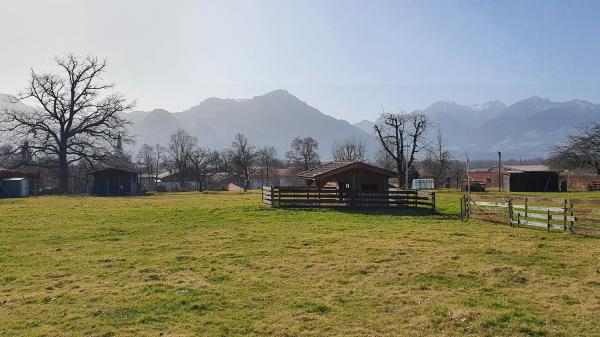 Bergblick bei Nussdorf - © RoRadln - Kurt Schmidt