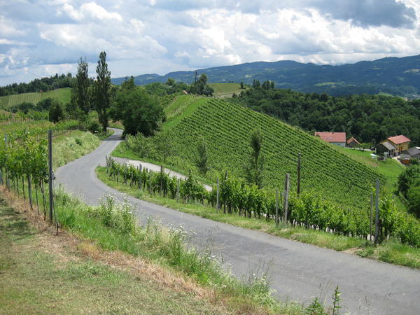 S&uuml;dsteirisches Weinland mit Blick in Richtung Slowenien - © RoRadln - Kurt Schmidt