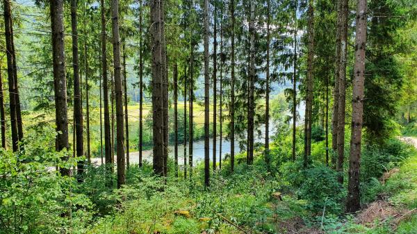 Blick auf die Gro&szlig;ache vom Leukental-Radweg - © RoRadln - Kurt Schmidt