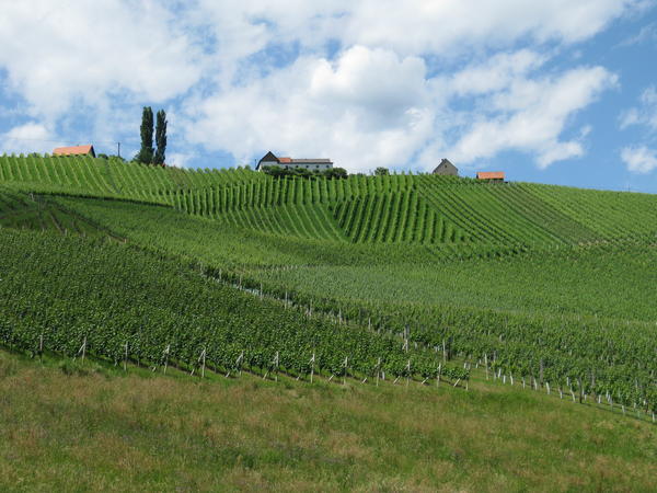 S&uuml;dsteirisches Weinland oder die Steirische Toskana - © RoRadln - Kurt Schmidt