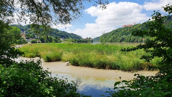 Wernstein am Inn, oben Schloss Neuburg - © RoRadln - Kurt Schmidt