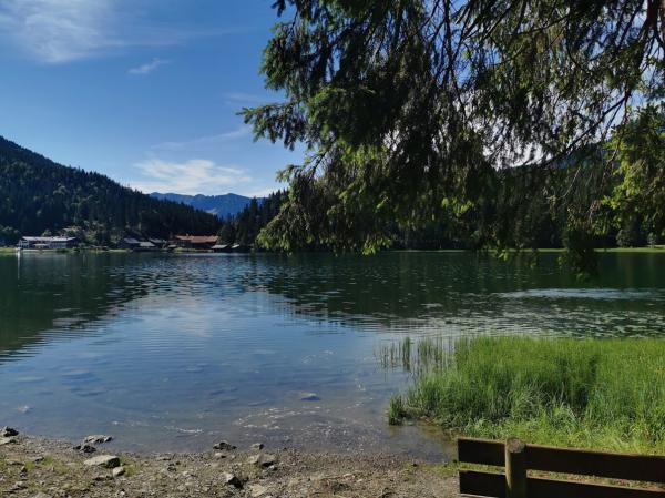 Spitzingsee Westufer - © RoRadln - Reinhard Rolle