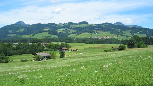 Blick vom Buchberg zum Erlerberg - © RoRadln - Kurt Schmidt
