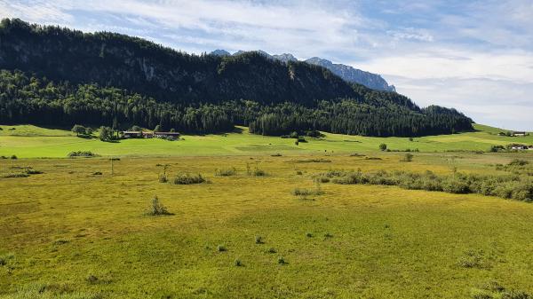 Moorlandschaft Schwemm in Walchsee - © RoRadln - Kurt Schmidt