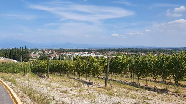 Blick auf den Gardasee bei Centenaro - © RoRadln - Kurt Schmidt