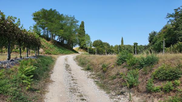 Olfino - typische Landschaft - © RoRadln - Kurt Schmidt