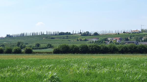 Blick bei Capello - © RoRadln - Kurt Schmidt