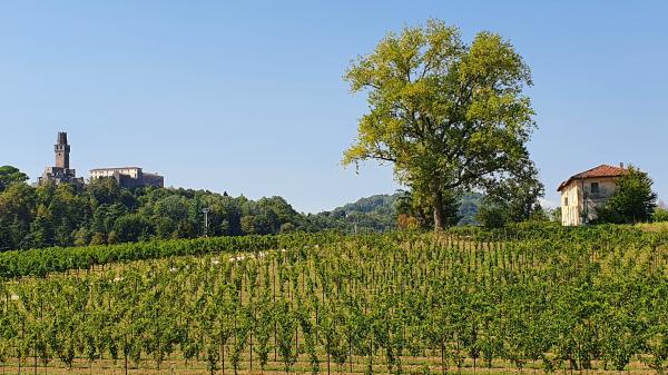 Castello di San Salvatore (links) - © RoRadln - Kurt Schmidt