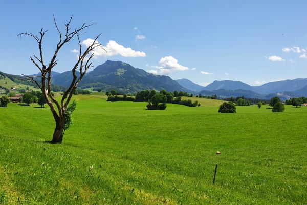Bei Hundham - Blick zum Breitenstein - © RoRadln - Kurt Schmidt
