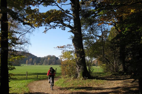 Rundweg Seehamer See - © RoRadln - Kurt Schmidt