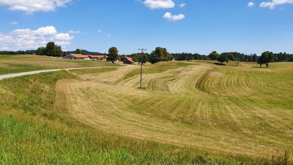 Landschaft bei Abrain - © RoRadln - Kurt Schmidt