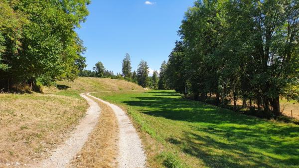 Von Stubenbach nach Piesenkam - © RoRadln - Kurt Schmidt