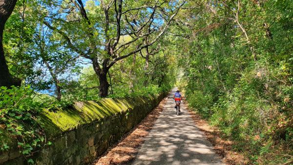Strada del Friuli - © RoRadln - Kurt Schmidt