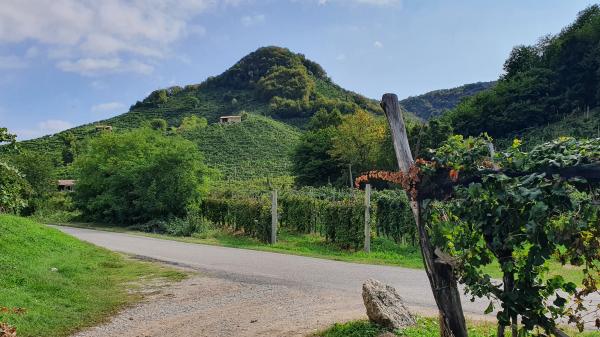 Strada del Prosecco - © RoRadln - Kurt Schmidt