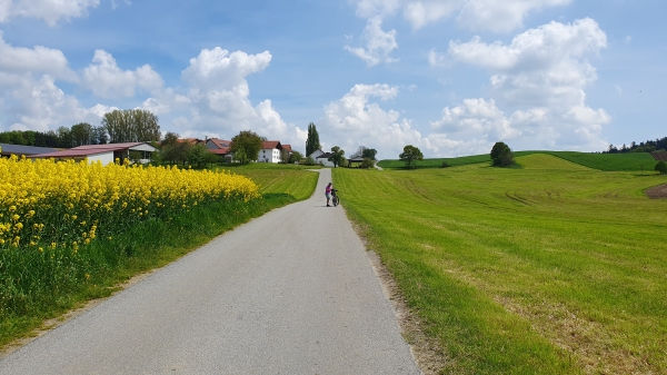 typische Landschaft M&uuml;hldorfer Land - © RoRadln - Kurt Schmidt