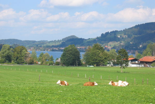 Schliersee - © RoRadln - Kurt Schmidt