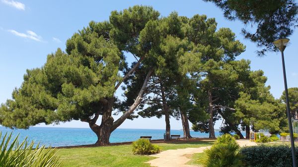 Porec - am Strand - © RoRadln - Kurt Schmidt