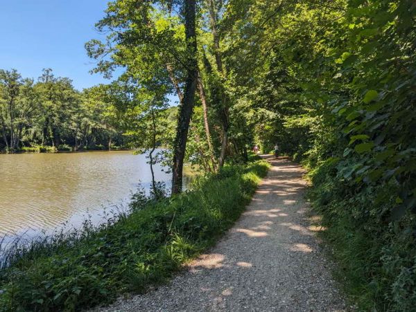 Entlang des Langweiher - © RoRadln - Reinhard Rolle