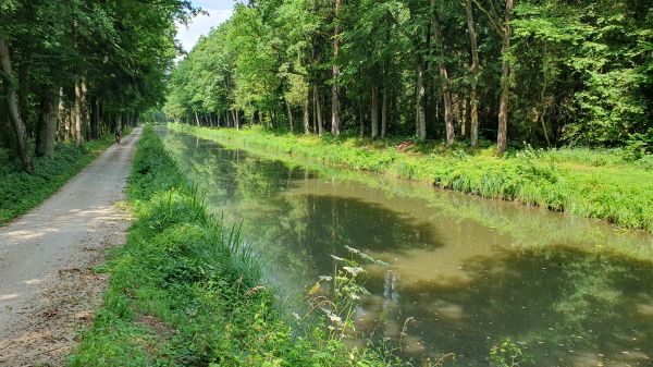 Park&auml;hnlicher Weg entlang dem alten Kanal (Ludwig-Kanal) - © RoRadln - Kurt Schmidt