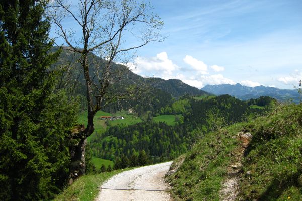 Auf dem Weg nach Buchau - © RoRadln - Kurt Schmidt